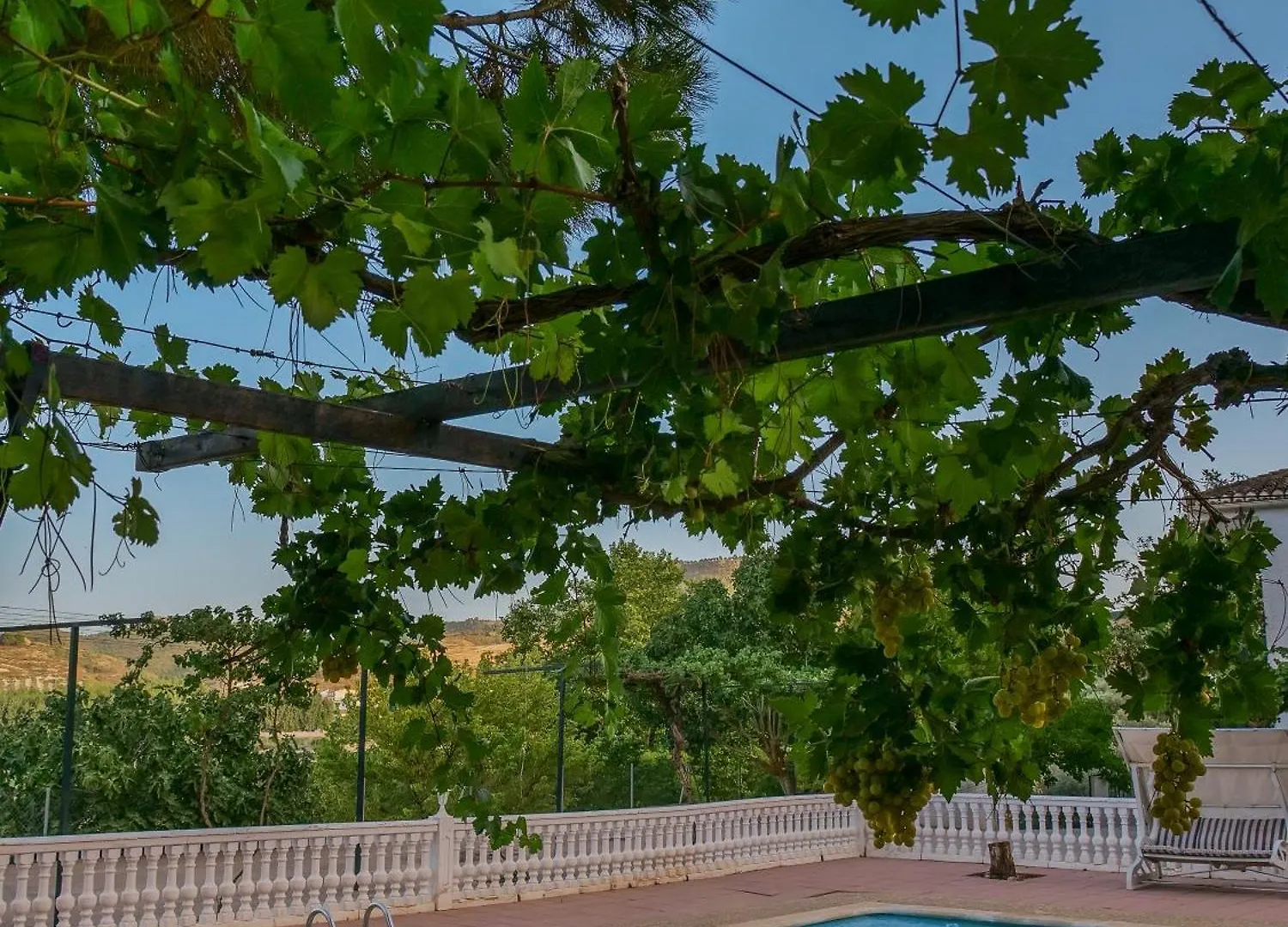 Villa Ricardo contacts